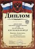 2013-2014 Быкова Анжелика 8а (РО ОБЖ)